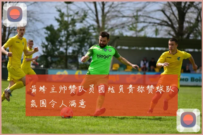 黄蜂主帅赞队员团结负责称赞球队氛围令人满意