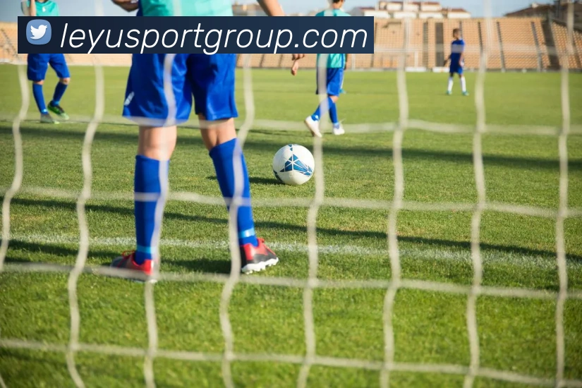 App Interface Preview