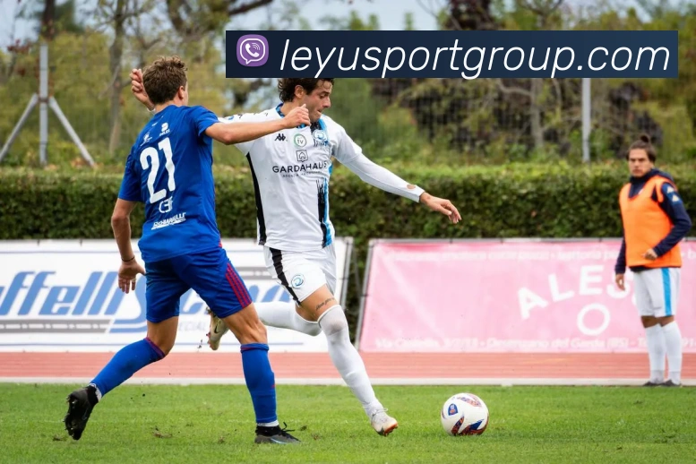 乐鱼足球APP 封面图